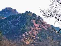 -龙泉峪长城