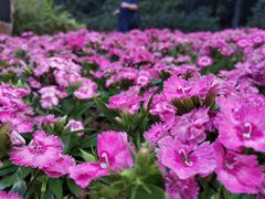 -白云山索道-售票处