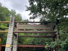 -牛背梁国家森林公园