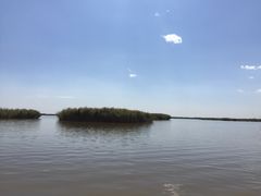 -哈素海
