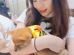 -逗柴咖啡屋·狗咖猫咖宠物桌游