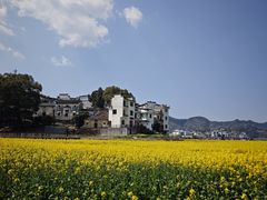 -新安江山水画廊风景区