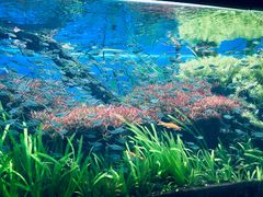 -海合安天津极地海洋公园