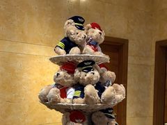 -南京禄口机场雅高铂尔曼大酒店