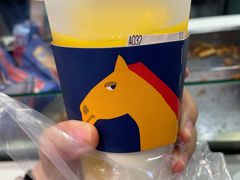 -春丽小马(济南恒隆广场店)
