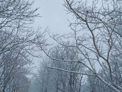 -北运河水利风景区