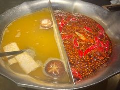 台式麻辣花胶鸡鸳鸯锅-湊湊火锅·茶憩(世博大道店)