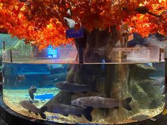 -成都浩海立方海洋公园