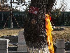 -西海子公园