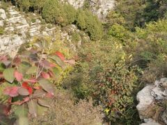-龙洞风景区-藏龙涧