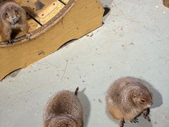 -正佳雨林生态植物园