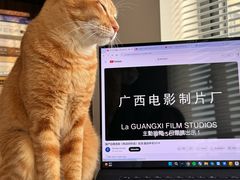 -创凡宠物医院·骨专科  猫科中心(西乡分院)