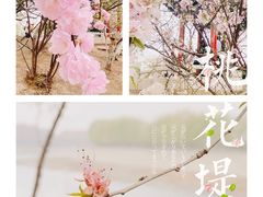 -桃花堤公园