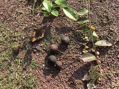 -神农溪纤夫文化旅游区