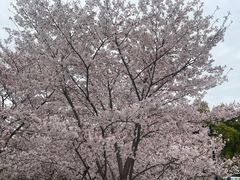 -苏州上方山国家森林公园