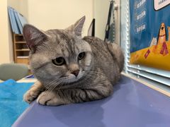 -美迦爱-牙专科·兔科·骨科诊疗中心(北苑店)
