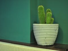 -So Acai(天河店)