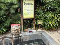 -明月山天沐温泉度假村