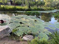 -承德避暑山庄景区