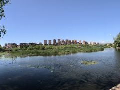 -前关湿地公园