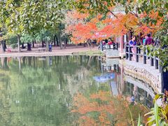 -上海共青森林公园