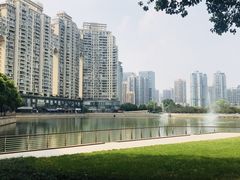 -西北湖绿化广场