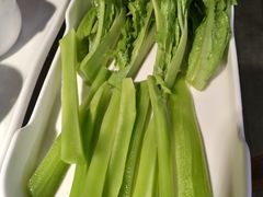 -锅说大脸毛肚重庆老火锅(佐阾店)