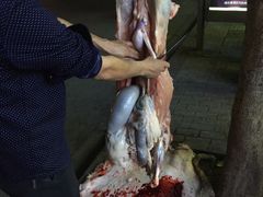 -新疆玉石阿卜都烧烤(太平南路店)