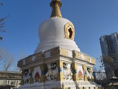 -护国法轮寺