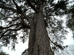 -终南山南五台景区