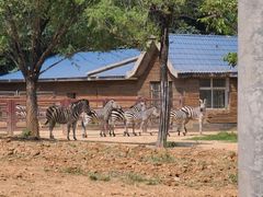 -石家庄市动物园