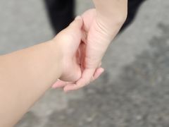 -火炉山森林公园