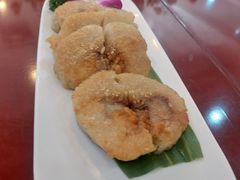 -柳饮·春柳酒家