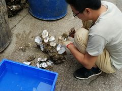 -忠记湛江烧蚝店