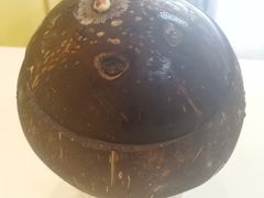 -志龙皇冠吃货椰子铺