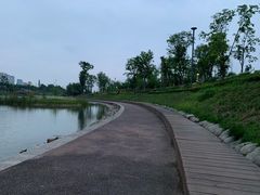 -桂溪生态公园
