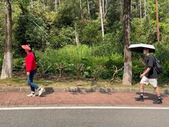 -火炉山森林公园
