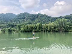 -广州市流溪河国家森林公园