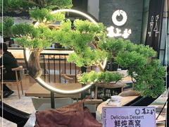 -喜上喜鸡煲翅(吉大店)