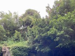 -燕晗山郊野公园