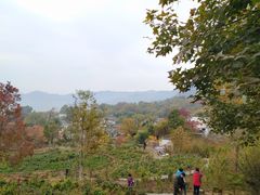 -塔川景区