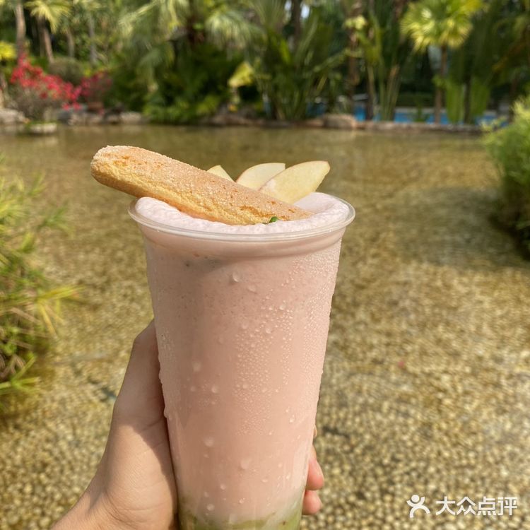 来三亚就办两件事！看周董演唱会和吃糟粕醋