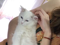 -极木²邸 人与宠物·互动社区