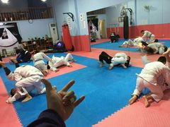 -金翼跆拳道巴西柔术拳击格斗学院