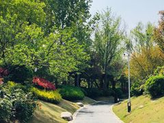 -思念果岭悦温泉