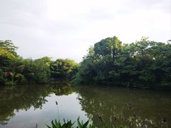 -太极禅苑