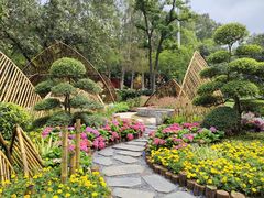 -广州市白云山风景名胜区
