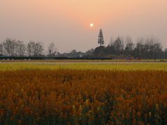 -中国天府农业博览园