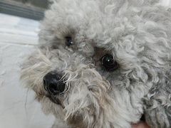 -暖阳宠物医院·犬猫康复中心·骨科
