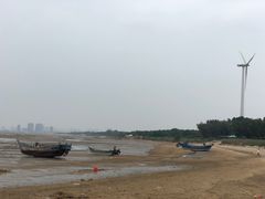 -仙人岛